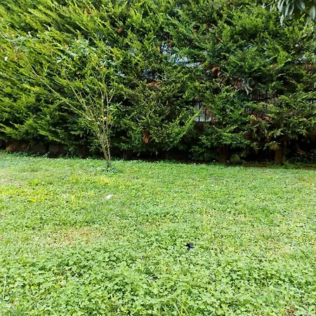 Square
