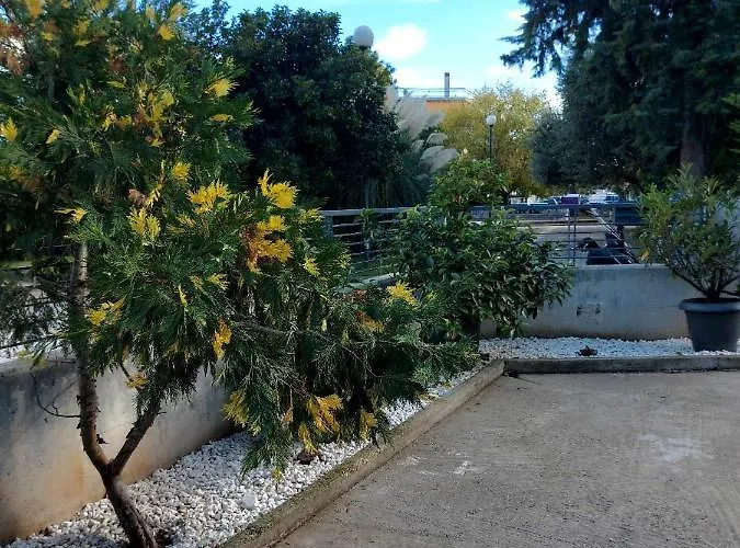 Square Trikala (Thessaly)